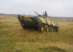 BMP 5