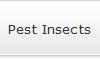 Pest Insects